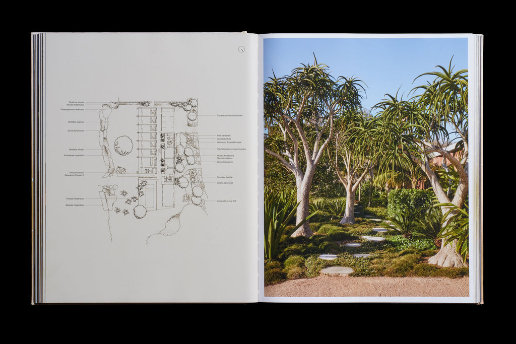 Dangar Barin Smith <br> Natural Order - Preorder
