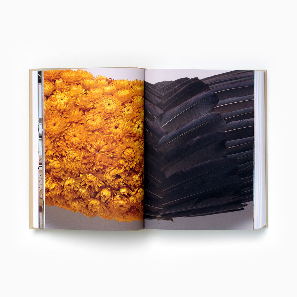 Jonathan Jones <br>untitled (transcriptions of country)