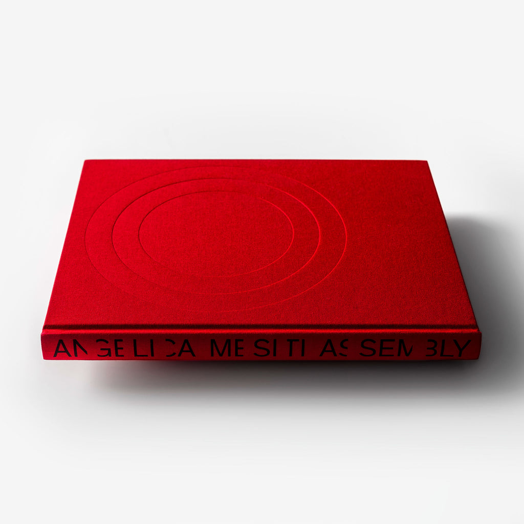 Angelica Mesiti <br>Assembly