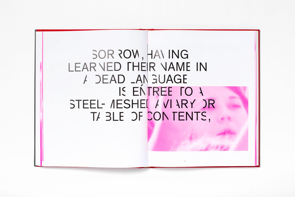 Angelica Mesiti <br>Assembly