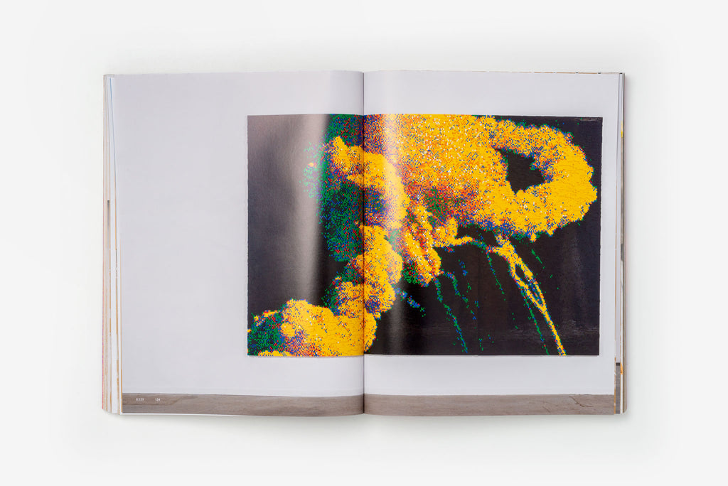 Claire Healy & Sean Cordeiro <br>Ready-made Ruin