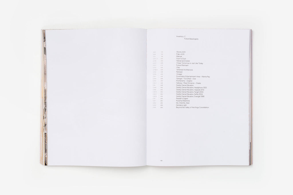 Claire Healy & Sean Cordeiro <br>Ready-made Ruin