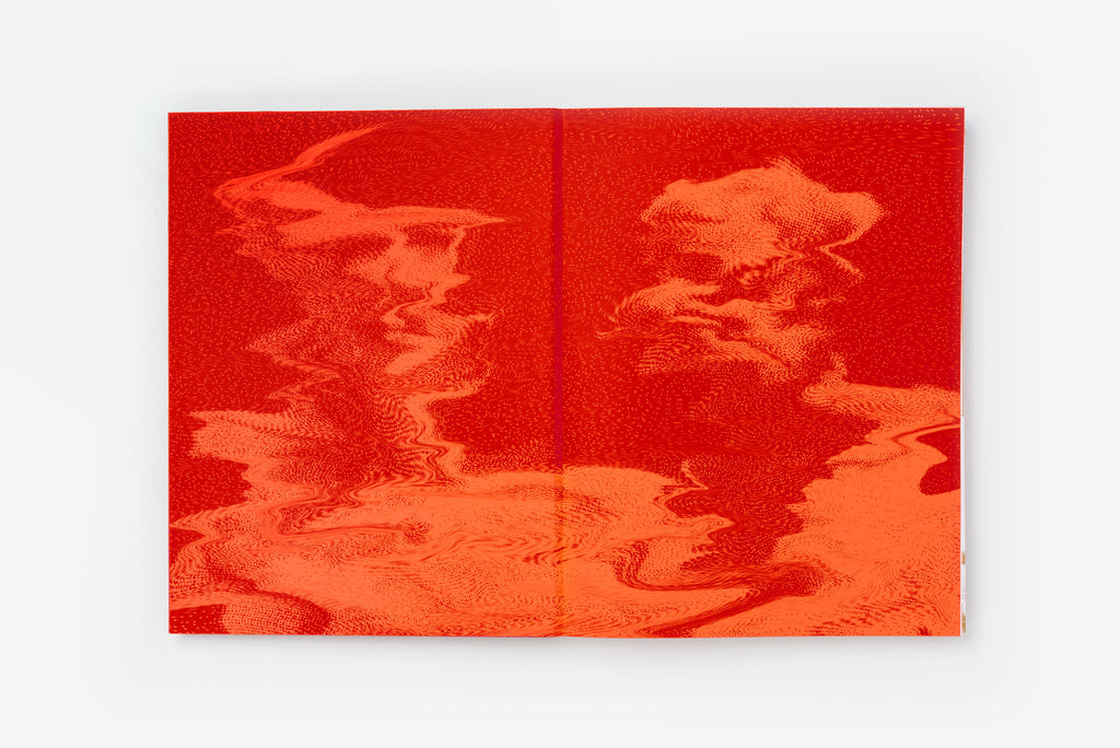 Claire Healy & Sean Cordeiro <br>Ready-made Ruin