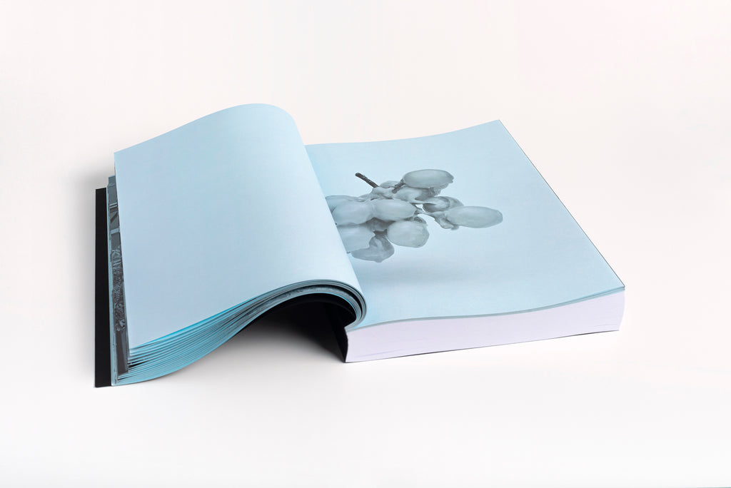 Mark Gowing <br>Inside the Oblong – LIMITED EDITION